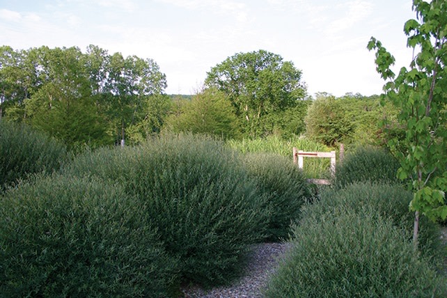 The Garden Conservancy Dutchess County Open Days Tour In Pawling