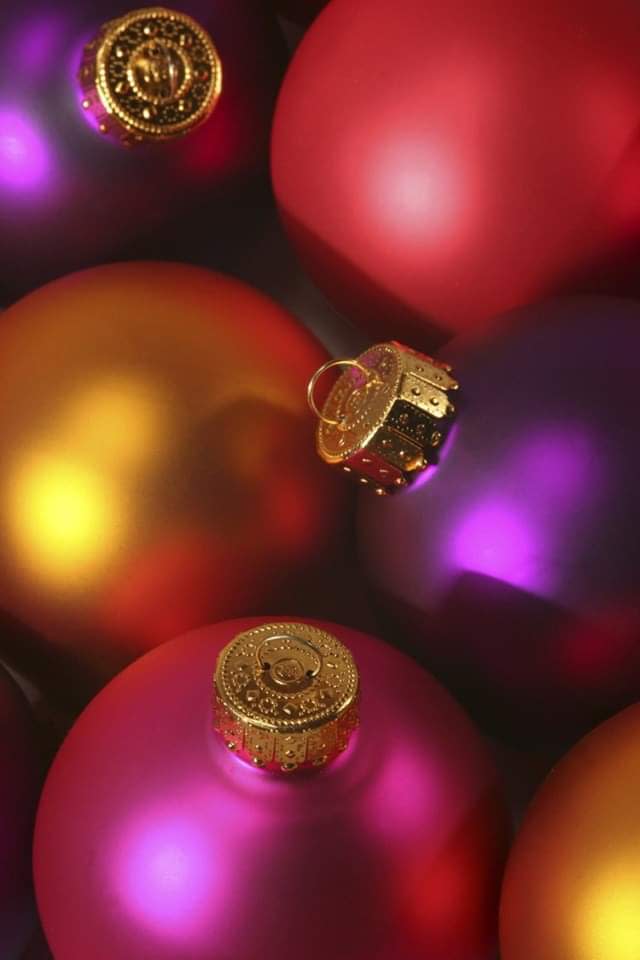 Hudson Valley Holistic Market - Holiday Market