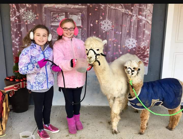 Holiday Photos at Lilymoore Farm