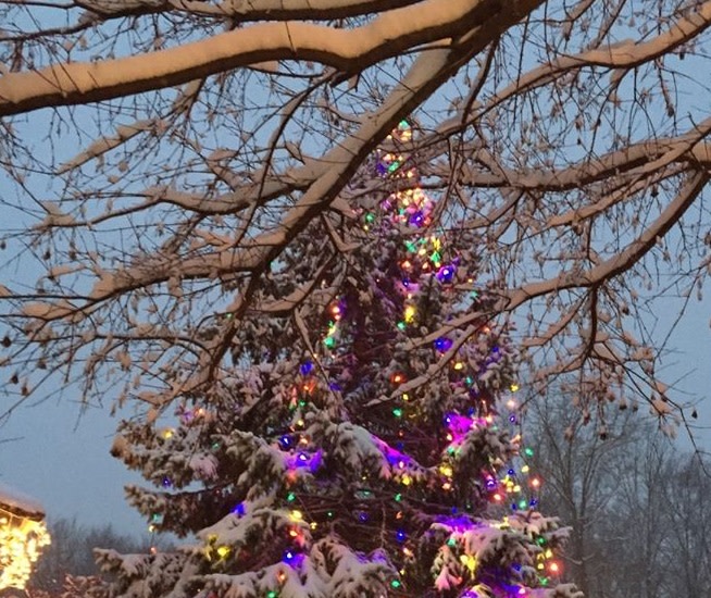 Tivoli Winterfest Celebration