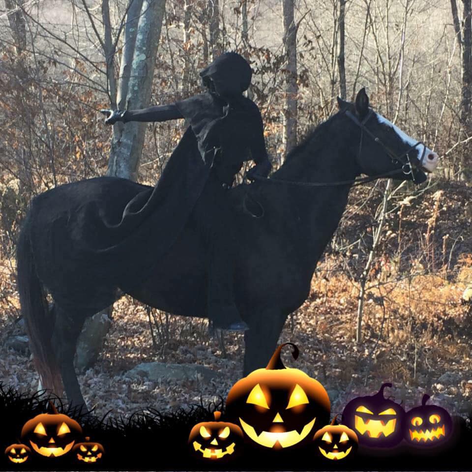 Trick or Treat with the Horses at Lucky Orphans Horse Rescue
