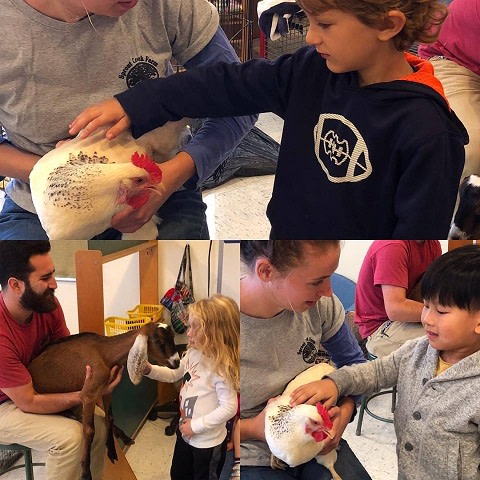Fall Festival at Sprout Creek Farm!