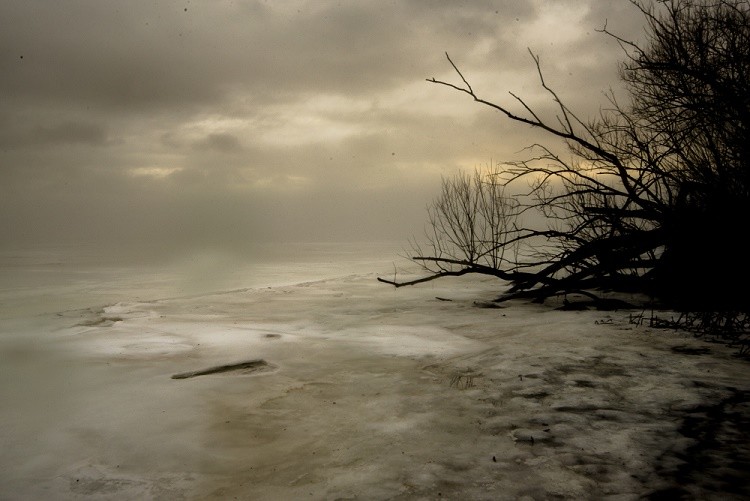 Tivoli Artists Gallery Hosts Dana Matthews + Gilbert Rios: Road to River