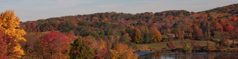 Annual Tamarack Swamp Ducks Unlimited Shoot in Millbrook