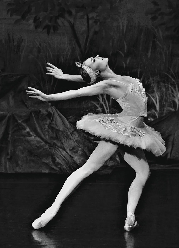 Steven Caras: A Dancer Captures Dance Exhibit, Lecture & Reception at Vassar College Palmer Gallery