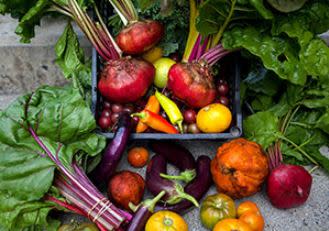 The Culinary Series "A Vegetarian Feast" The Culinary Institute of America