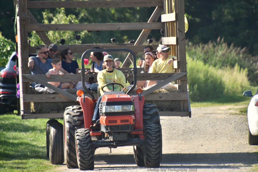 Butterflies & Blooms Festival at Stony Kill Farm