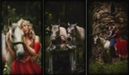 Horses of Legend Photoshoot at Celtic Valley Carriage and Farm