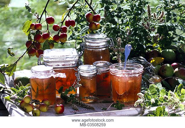 Just Like My Nan Made! Apple Mint Jelly Workshop at Clermont State Historic Site