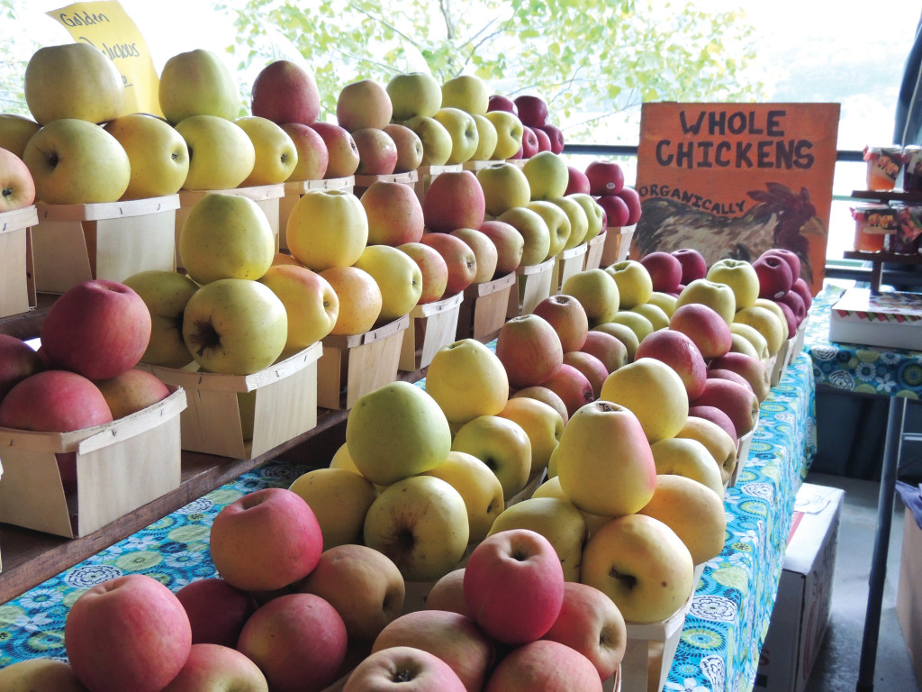 Harvest Festival Celebration