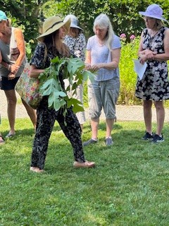 "Welcome Spring!" Plant Walk with Horticulturist Ashley Gamell at the Beatrix Farrand Garden at Bellefield