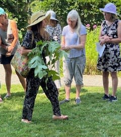 "Golden Hour Plant Walk" with Horticulturist Ashley Gamell at the Beatrix Farrand Garden at Bellefield