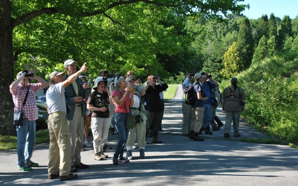 Cary Institute & Ralph T. Waterman Bird Club Walks