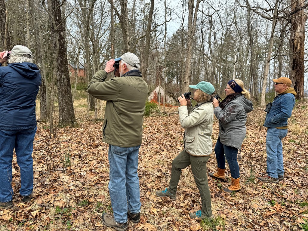 Birding Walk at Staatsburgh State Historic Site