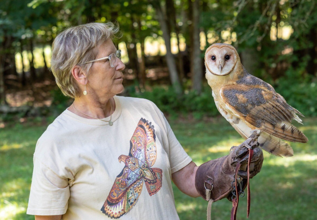Birds of Prey at the Mid-Hudson Discovery Museum Pavilion