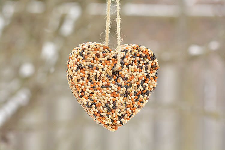 A Partridge in a Pear Tree: Bird Seed Ornament Workshop at Clermont State Historic Site