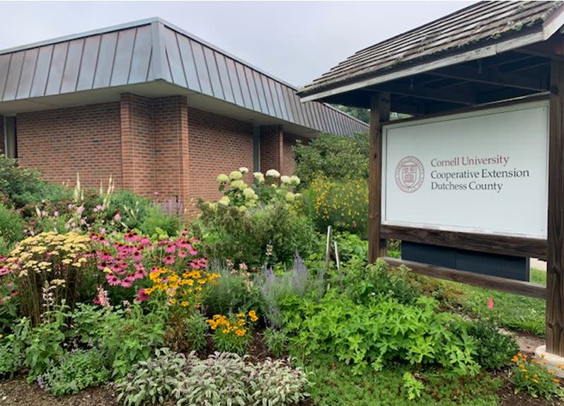 Second-Annual Cornell Cooperative Extension DC Community & Family Fall Festival