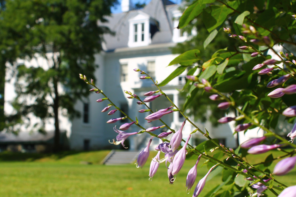 America 250 Walking Tour at Clermont State Historic Site: The Livingstons' Landscape