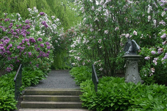 A Revolutionary Garden Party at Clermont State Historic Site