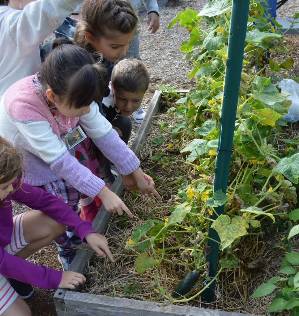 NextGen STEAM Kids' Science Event at the Mid-Hudson Discovery Museum