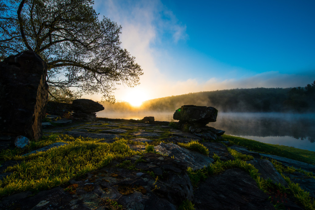 Morning Light: Sunrise at Innisfree Garden