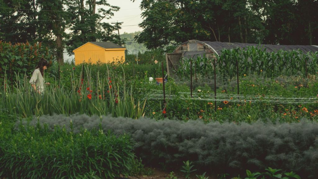 Farm Yoga at Foxtrot Farm and Flowers
