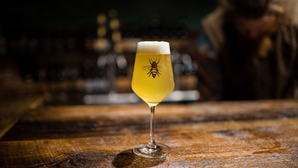 Pollinator Day at Plan Bee Farm Brewery