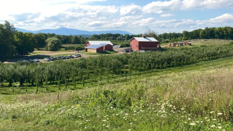 Oblong Books Presents Fall Vibes Grown-Up Book Fair at Rose Hill Farm Taproom
