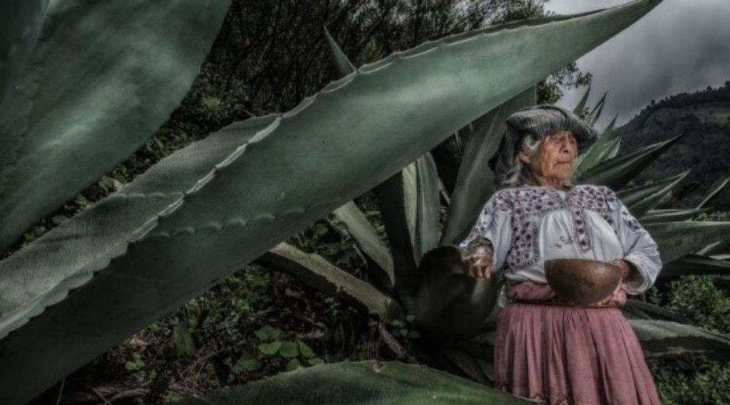 Oaxaca Week in Poughkeepsie: The Photography of Eric Mindling