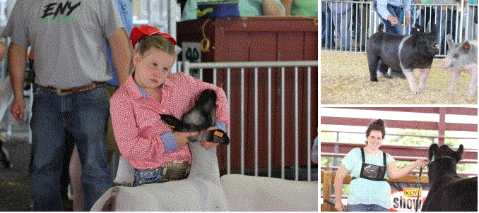 ENY Junior Holstein & Youth Goat Show at Dutchess County Fairgrounds