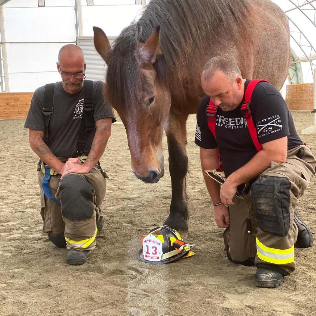 Perfectly Broken Barbecue at Lucky Orphans Horse Rescue