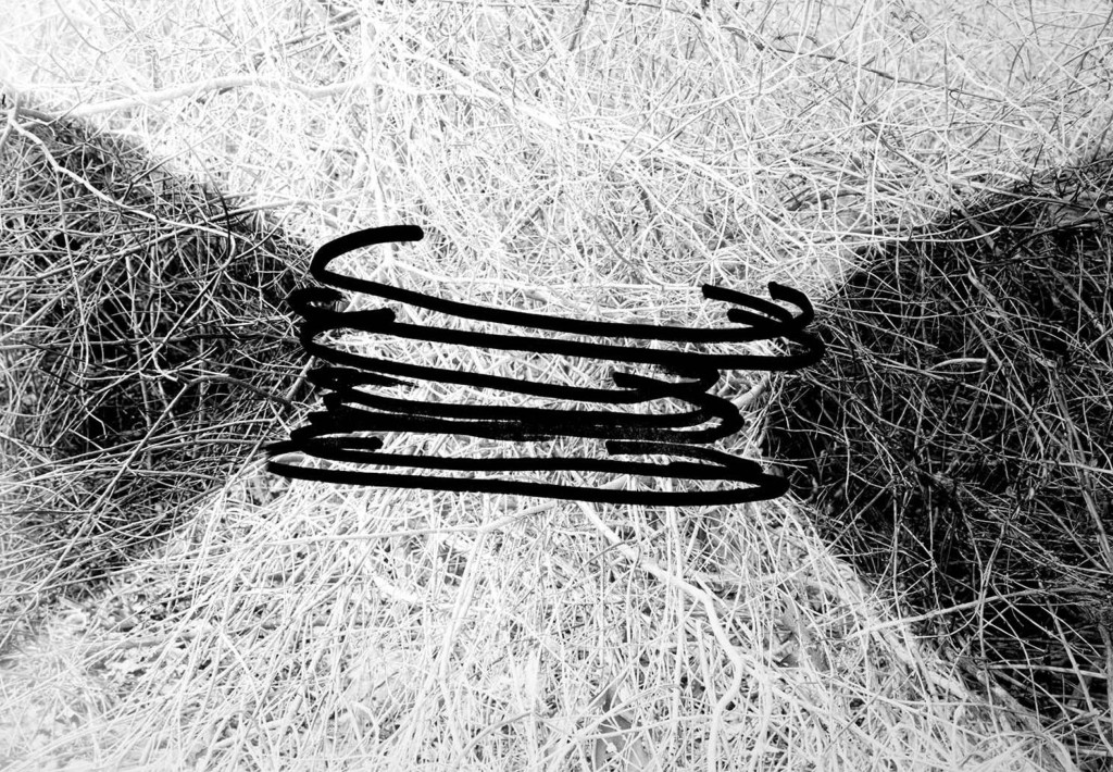 Opening Reception for BAU Gallery's September Shows