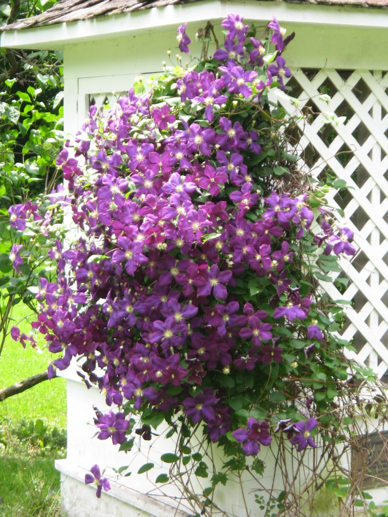 Mount Gulian Hosts Great Estates Garden Tours