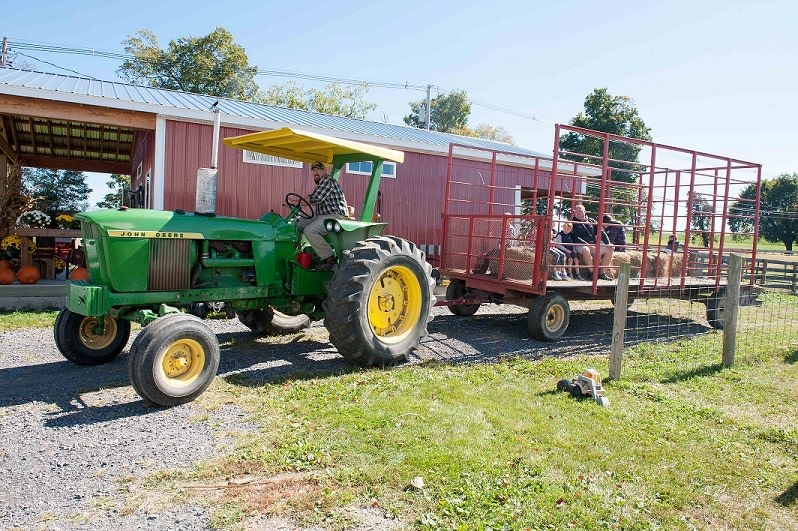 Harlem Valley Farm and Food Alliance Day - Visit Farms for Tours, Food, Drink and More!