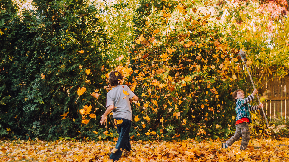 Family Harvest Fest at Poughkeepsie Galleria
