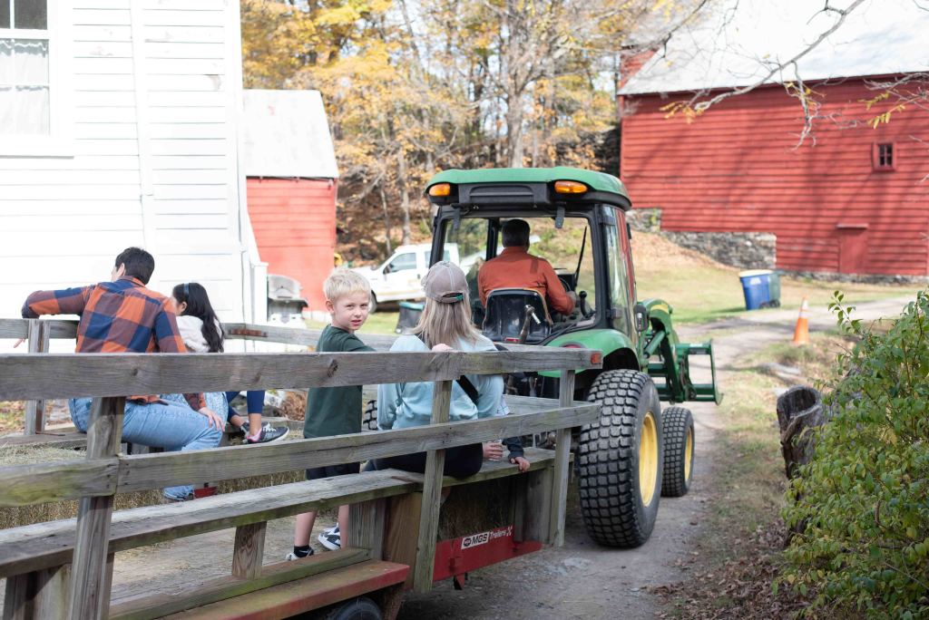Heritage Harvest Festival at Primrose Hill Farm