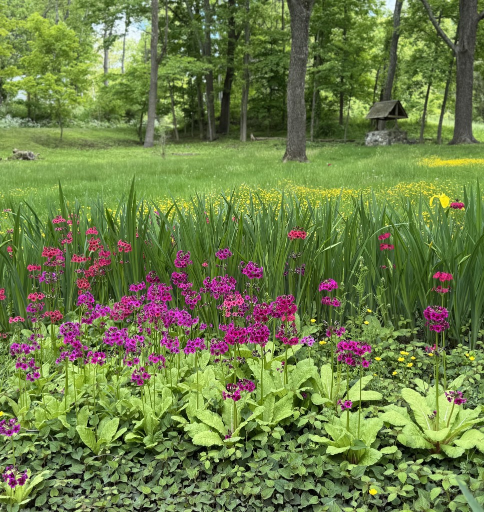 2026 Clinton Community Library Plant and Bake Sale