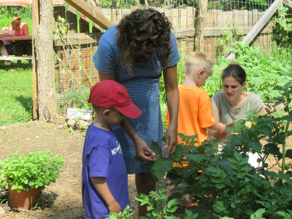 Cancelled: "Little Sprouts" Preschoolers Explore the Teaching Garden at Clermont Historic Site