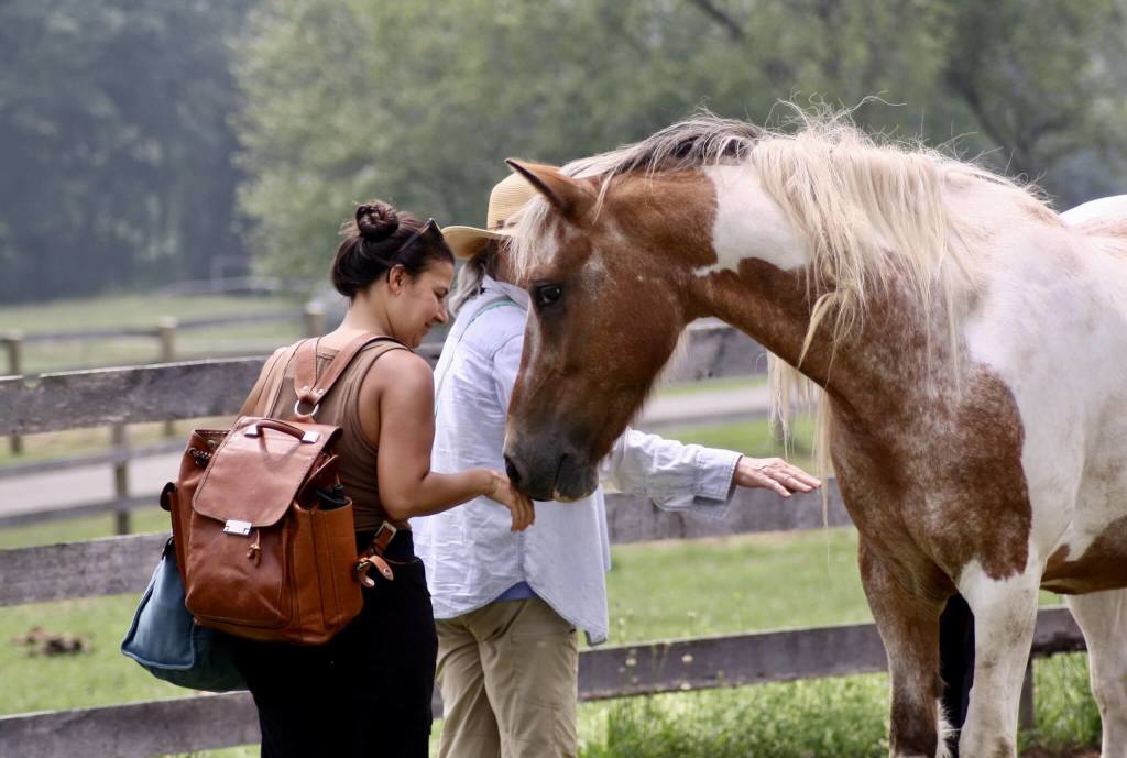 Mindfulness with Horses Four-Day Women's Retreat at 13 Hands Equine Rescue