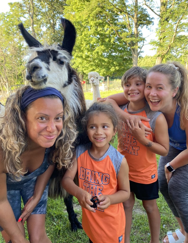 Farm Tour at Clover Brooke Llama and Alpaca Farm