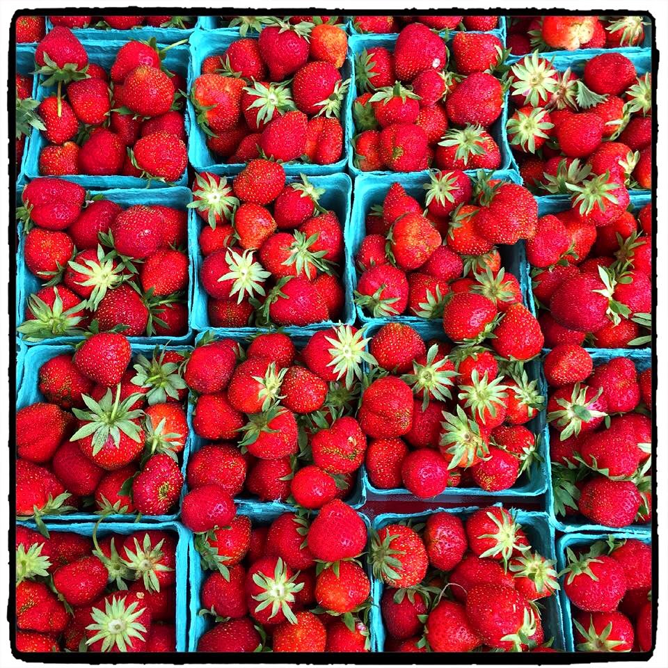 Rhinebeck Farmers Market