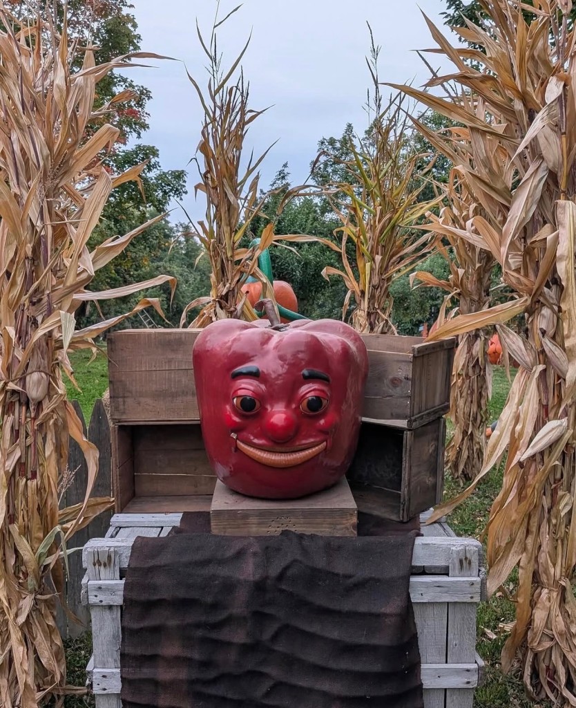 Harvest Festival at Barton Orchards