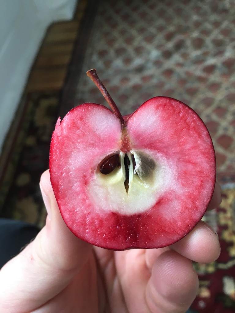 Red fleshed Apples