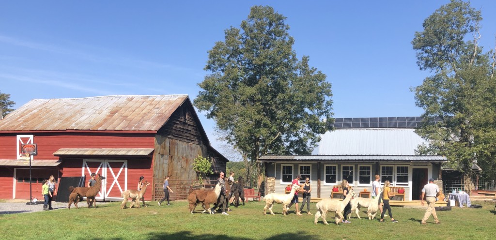 Clover Brooke Farm Sampling Experience