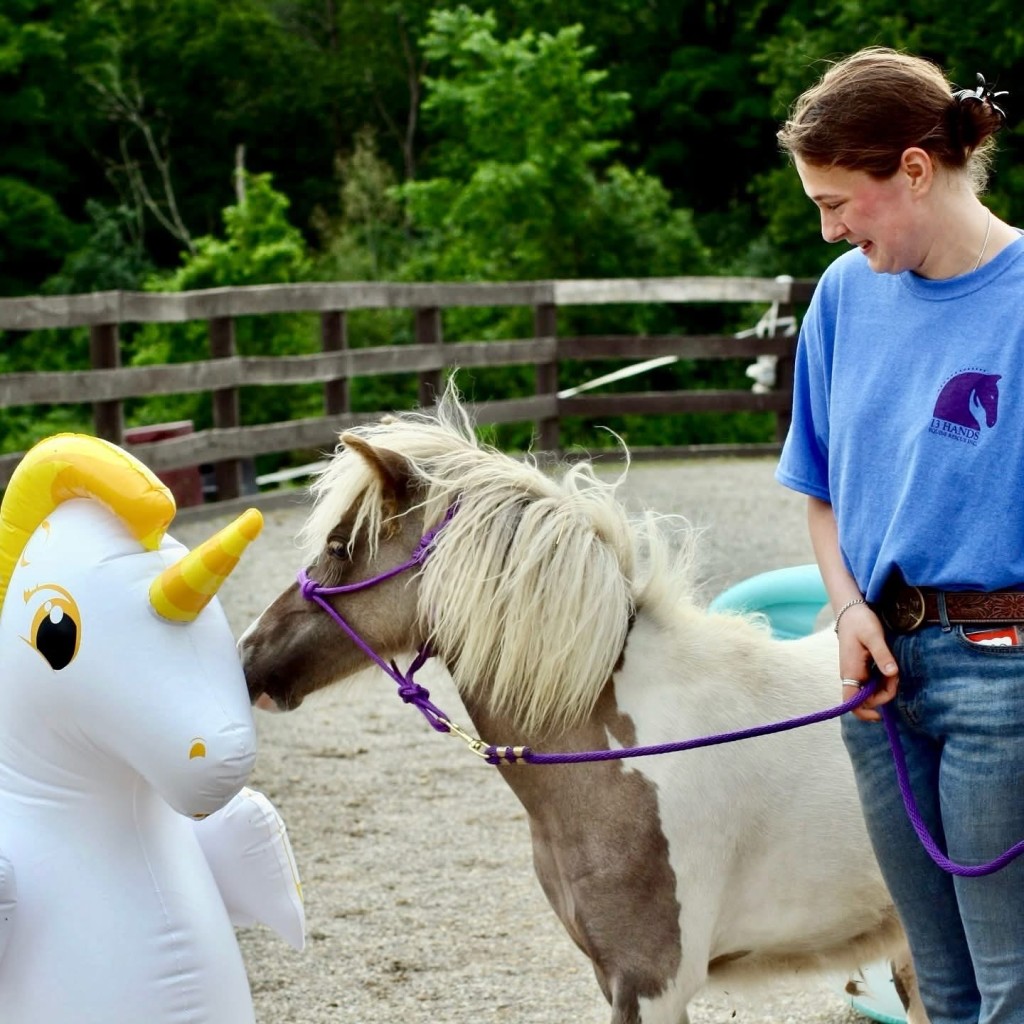 Help A Horse Day at 13 Hands Equine Rescue