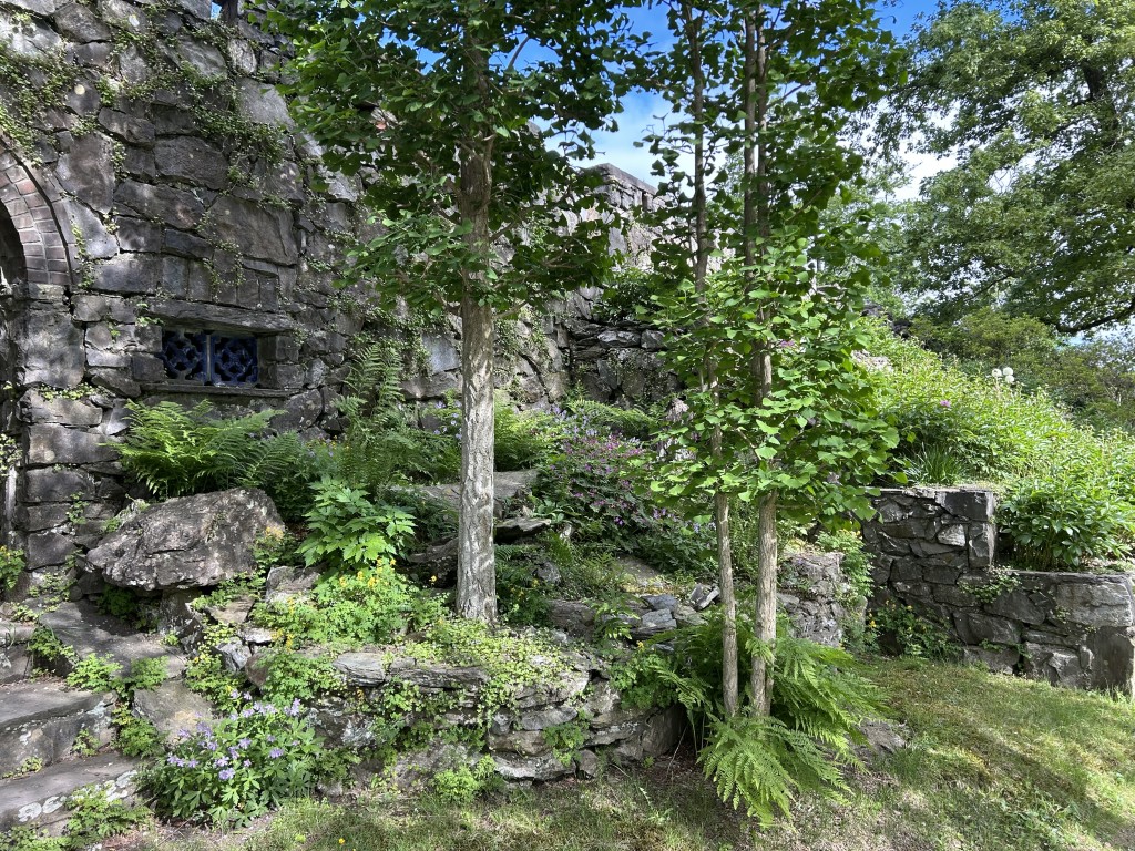 A Late Spring Naturalist Walk at Innisfree with Loren Merrill