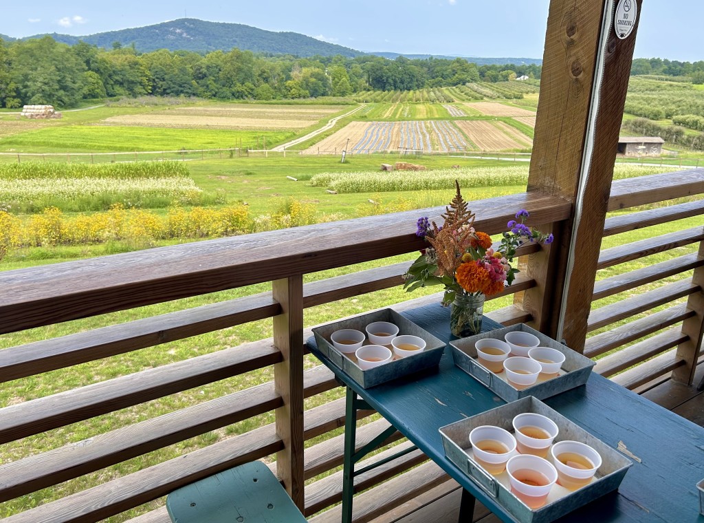 Summer Cider Party with Treasury Cider at Fishkill Farms