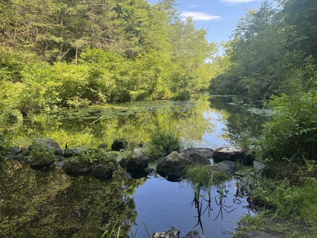 Reading Innisfree Garden's Forested Landscape with Tom Wessels