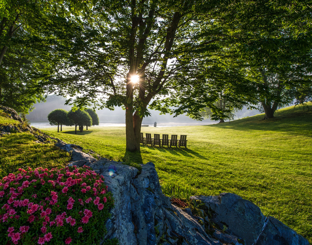 Morning Light: Sunrise at Innisfree Garden