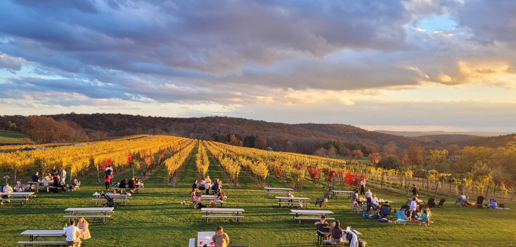 Weekend Food Trucks at Millbrook Winery